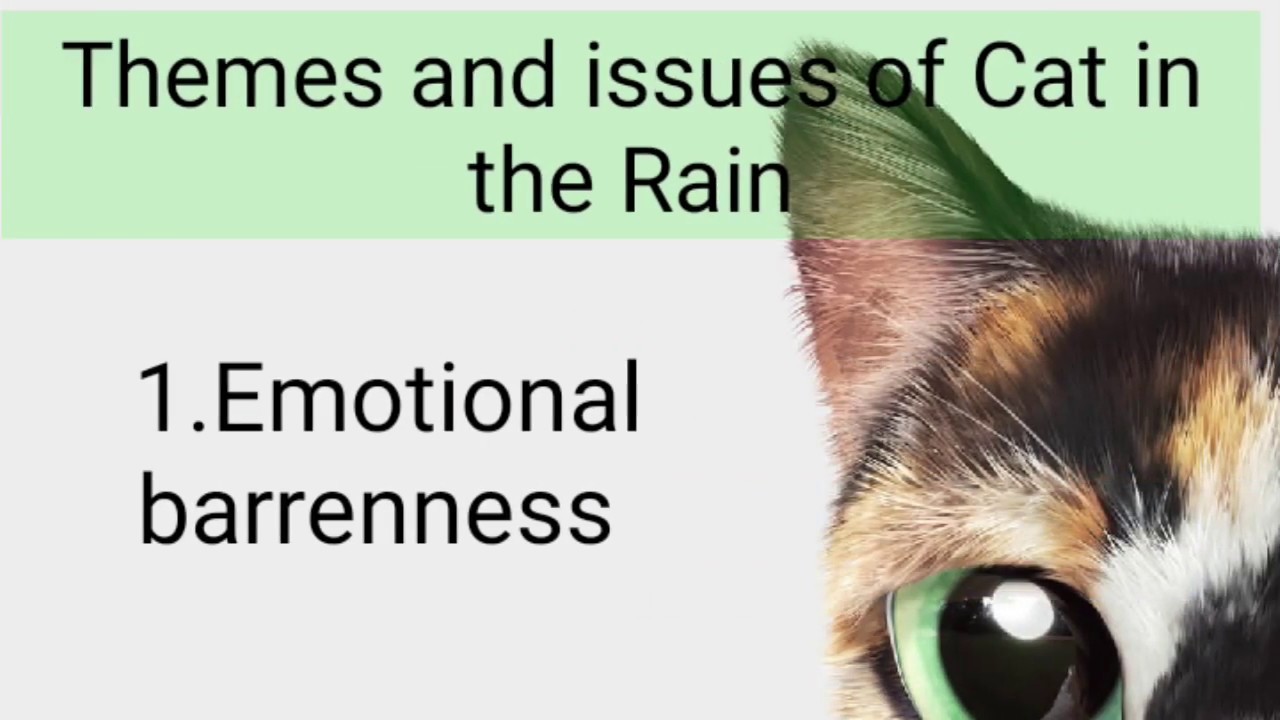 Cat in the rain by Ernest Hemmingway, themes and issues. - YouTube