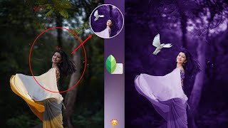 Snapseed Purple Tone Effect Trick | Snapseed Flying Bird Effect Trick | HCN Editing