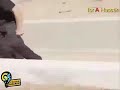 طريق السلامه انت طريق السلامه انت