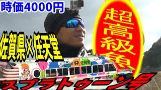 ショアジギングで超高級魚が釣れた！あとスプラトゥーンコラボの船見つけたよ！