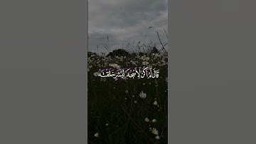 هزاع البلوشي تلاوة جميلة #اسلام_صبحي #تلاوة_خاشعة #تلاوات #القرآن_الكريم #هزاع_البلوشي #قرآن