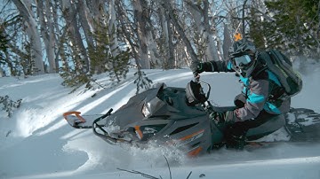 Arctic Cat 2022 | Blast