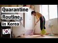 Quarantine routine in korea