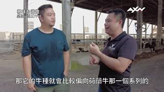 美食節目「尋味台灣趣」 春節飄香澳洲公視