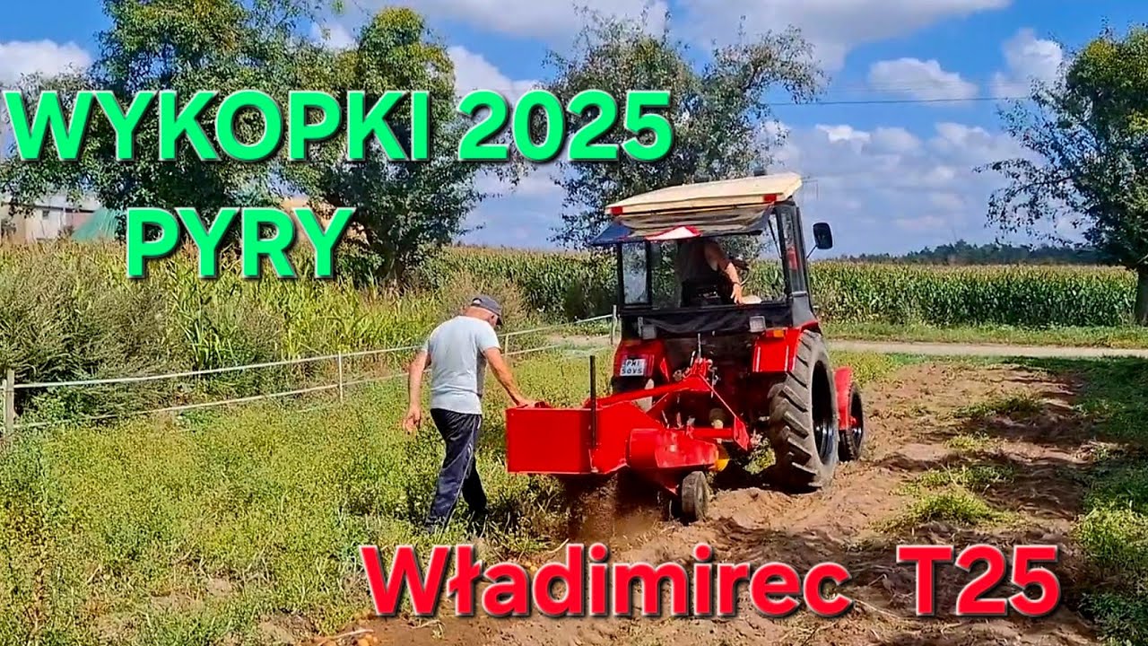Wykopki 2025 Pyry | kopaczka jednorzędowa | Władimirec T25 