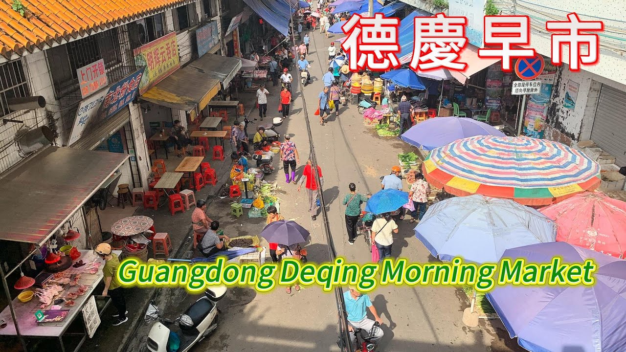 廣東德慶早市！本地豐富的物產，西江河鳊魚，板栗，古法豆腐！令你吃驚的菜價！土方祛濕湯，降血糖茶！四方裹蒸粽，竹篙粉，雲吞，德慶美味分享！德慶學宮！