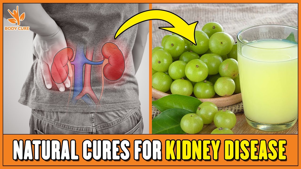 5-natural-cures-for-kidney-disease-youtube