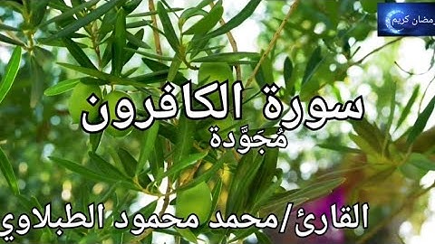 سورة الكافرون مُجَوَّدة القارئ/ الطبلاوي Surat Al-Kafirun: Al-Tablawy