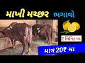 આ રીતે કરશો તો… ફાર્મમાં એકપણ મચ્છર નહીં રહે 😳"#flyremove @KrishnaDairyfrm #ytvideo