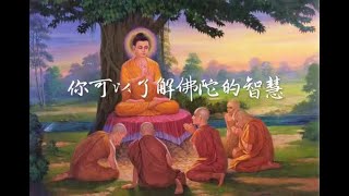 201403 你可以了解佛陀的智慧30710