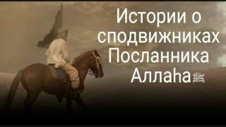 Истории сподвижников.Абдулла ибн Мас'уд(да будет доволен им Аллаh).