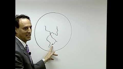 11.1 - Algorithms for Solving the Advection Diffusion Equation.