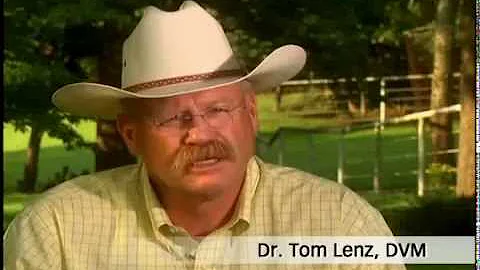Equine Life Chip: How it works - Dr. Tom Lenz, DVM