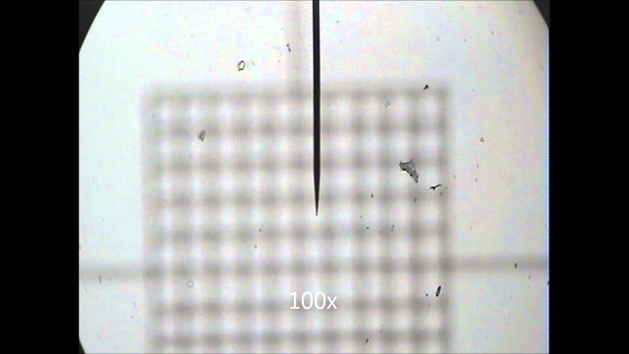 How To Use A Mini Grid Microscope at Alan Matheny blog