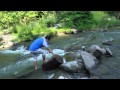 kiran pele Whatsapp Status Video Download Free