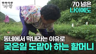 [다큐 ‘가족’ 132회 1부] 70 넘은 나이에도 동네에서 막내라는 이유로 궂은일 도맡아 하는 할머니