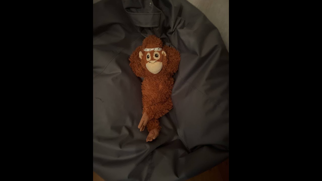 CW RAN CHAMPION เด็กใหม่มันไฟแรง ขยะ  By.ปราบปลื้ม