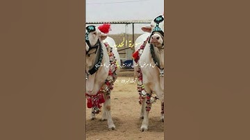 سورة الحديد -  القرآن الكريم
