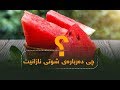 چی ده رباره ی شوتی نازانیت چی ده رباره ی شوتی نازانیت