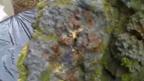 modelRRscenery.com - A Different Way to Paint.avi