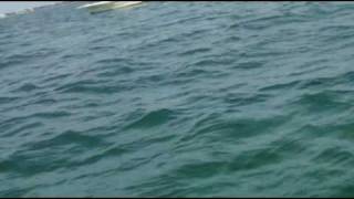 200lb Tarpon Fishing Video Boca Grande Florida