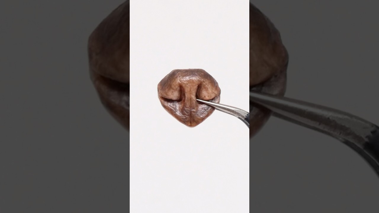 犬の鼻の着色（グラデーション）Coloring a Dog Nose (Gradient Finish)　　#craft #dog #dognose