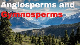 Difference between  angiosperm and gymnosperm plants