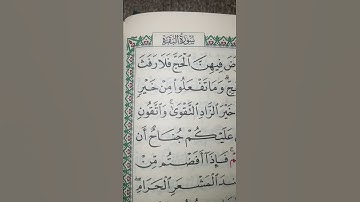 الحج أشهر معلومات. قراءة مميزة خاشعة جميلة سورة البقرة
