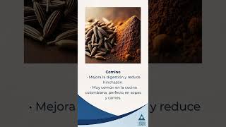 Oregano, Romero, Comino
