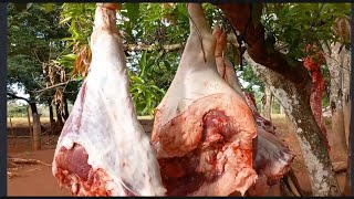 Deu 160 litros de banha e muita carne e torresmo frito no tacho #Goioerê Paraná...