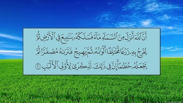 سورة الزمر (الآية 10 ~ الآية 31) - عبدالله بن عواد الجهني