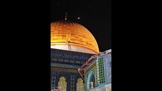 مباشر| صلاة التهجد - ليلة العشرين من رمضان من المسجد الأقصى