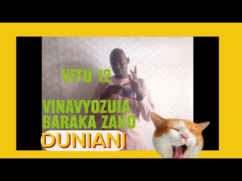 Vitu 12 VINAVYOZUIA BARAKA ZAKO
