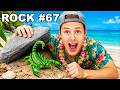 I Flipped 100 Rocks on a TROPICAL ISLAND, Heres what I Found..