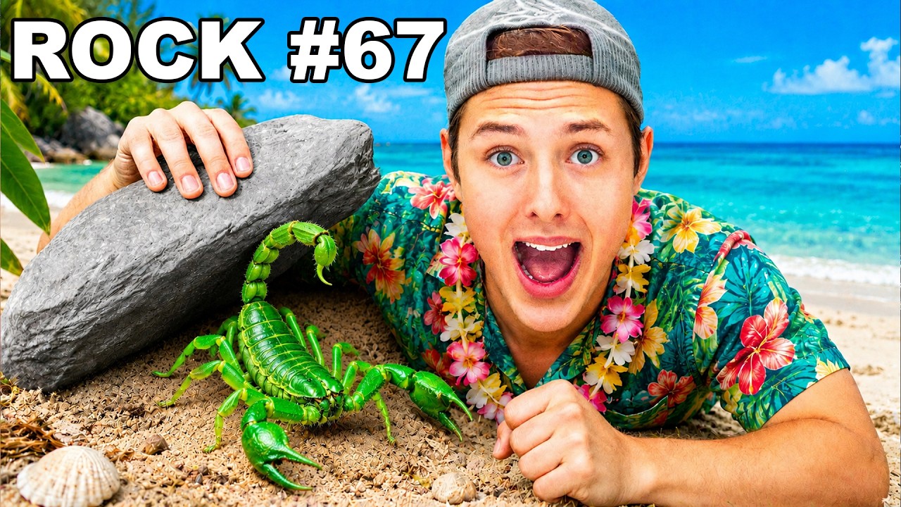 I Flipped 100 Rocks on a TROPICAL ISLAND, Here's what I Found..