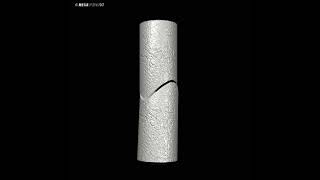Saddle Joint