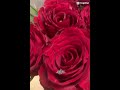 احلا اغنية كردي اكسبلور لايك ستوريات احلا اغنية كردي اكسبلور لايك ستوريات