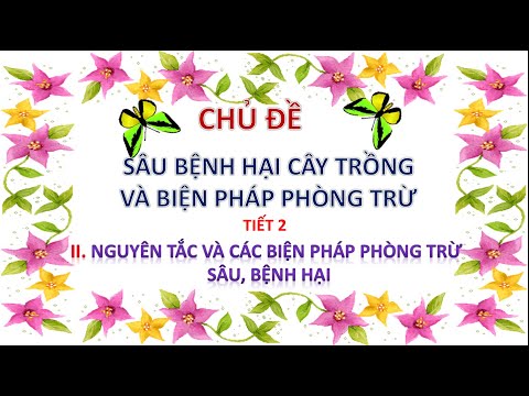 Video: Vấn đề Trồng Hoa Lan - Sâu, Bệnh hại Thông thường & Các Vấn đề Môi trường Với Cây Phong Lan