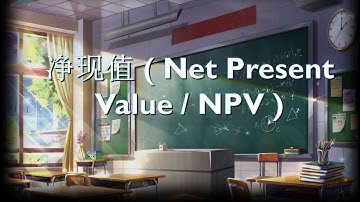 【金融基础】净现值 ( Net Present Value / NPV )