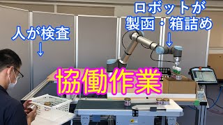 【協働ロボット】-人との協働作業- 製函&箱詰めアプリケーション / 電陽社 用途別アプリケーション