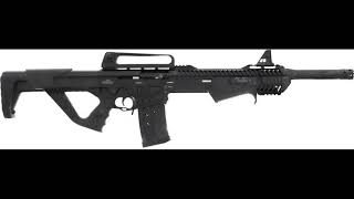 Firing My Dickinson Ermox XXPA 12Ga Semi-Auto/PumpShotgun For The 1st Time