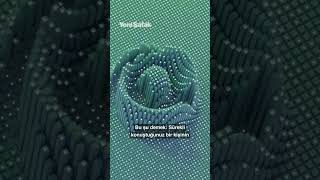 Whatsapp Silinen Geçmişinizi Depoluyor