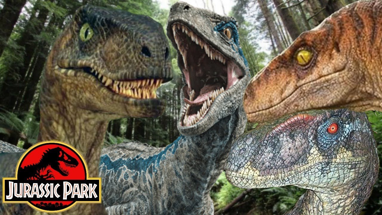 The Differences Between Velociraptors In The Jurassic Park Film Series Youtube 