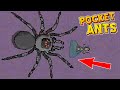 ПЕРВЫЙ БОСС ТАРАНТУЛ против КОЛОНИИ МУРАВЬЕВ! Прохождение игры Pocket Ants: Симулятор Колонии