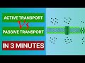 Cell Membrane Transport Quiz