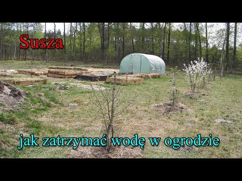 Susza - jak zatrzymać wodę w ogrodzie