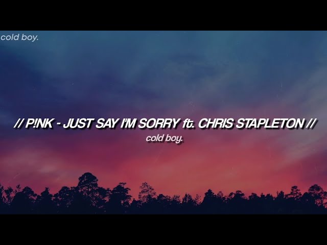 P!NK u0026 Chris Stapleton - Just Say I'm Sorry (Lyrics) class=