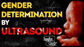 Gender Determination by Ultrasound - Imaging Study Lecture