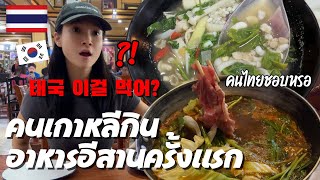 คนเกาหลีกินไข่มดแดงเป็นครั้งแรก คนไทยชอบกินเหรอ เที่ยวขอนแก่น (3)