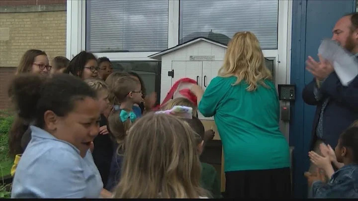 CI Hero: Stacy Hardin